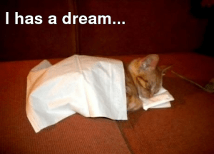 stash-1-509db86173065